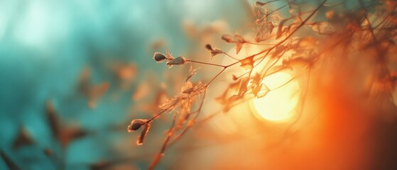 Warm sunlight filters through ethereal branches, painting a dreamlike scene of autumn&rsquo;s gentle embrace.