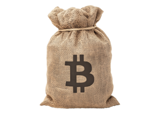 A burlap sack featuring a Bitcoin symbol sits on a plain background, representing digital currency and the growing interest in cryptocurrencies for investment and wealth.