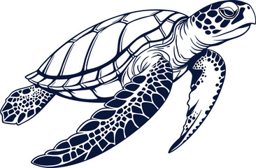 Obraz premium Sea Turtle Vector Graphics for Environmental Designs