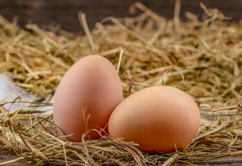 Two raw egg in a nest on a straw pillow. eco poultry farm, free range chicken farm