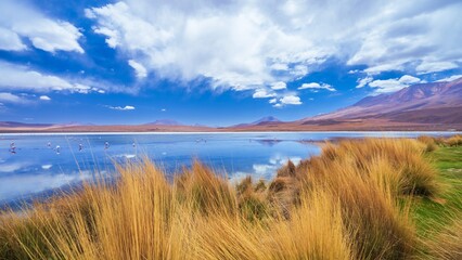 Desktop Wallpaper 16:9, The colorful Canapa lagoon in the Andes mountain range of Bolivia with Andes grass, James and Andean flamingos as well as a white borax island near the Uyuni salt flat, 