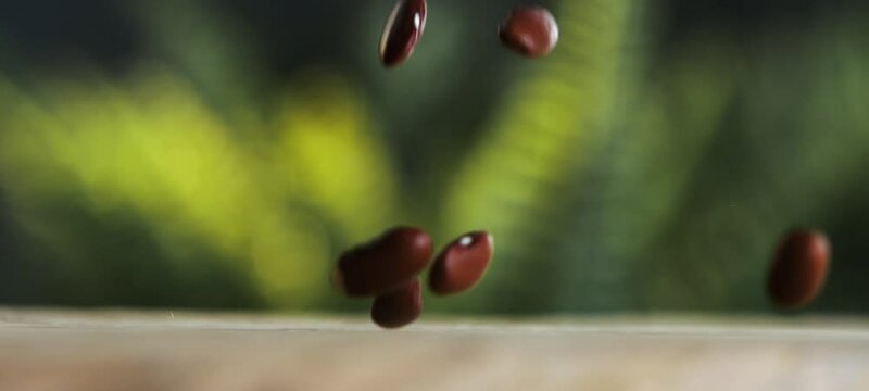 Close-up view of red miki beans sprinkled on a wooden texture table in slow-motion. Healthy brown seeds