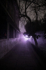 Obraz premium Mysterious pathway. Footpath in the dark, foggy, autumnal, mysterious forest.
