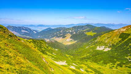 Fototapeta premium A stunning panorama of the Low Tatras National Park showcases lush green hills and distant mountains under a clear blue sky, inviting exploration and appreciation of Slovakia's natural beauty.