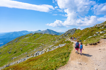 Fototapeta premium Two hikers trek along a scenic trail in Low Tatras National Park, surrounded by lush greenery and majestic mountains under a bright blue sky. It's a perfect day for outdoor adventure.