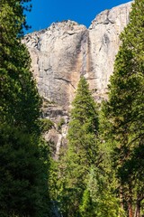 Panoramen und Mammutbäume im Yosemite Nationalpark
