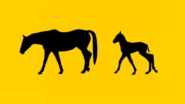 Animation with a foal walking alongside of its dam on the yellow background (seamless loop)
