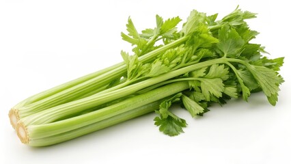 Celery stalk on white background