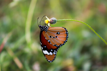 IMG_6471.JPG
