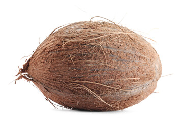 One whole coconut in shell isolated on white