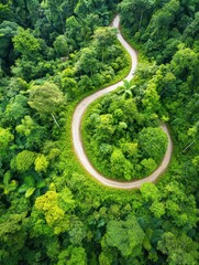 Serene Tropical River