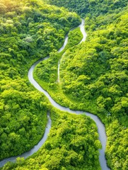 Serene Tropical River