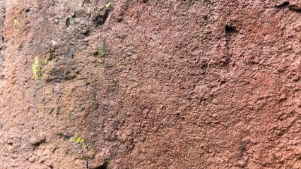 stone wall texture
