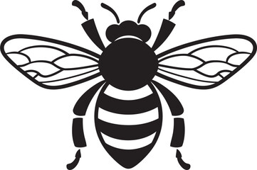 Obraz premium The Amazing Life Cycle of the Honeybee From Egg to Worker