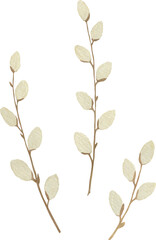 Hand-painted Watercolor set of willow branches, Easter,  for Printable Cards invitations greeting cards vector
