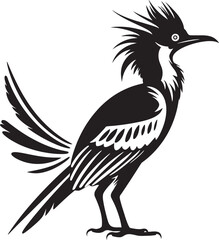 Naklejka premium The Roadrunner Speed How This Bird Became an Icon of Quickness