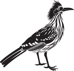 The Roadrunner  Tactics Hunting  Foraging  and Survival Skills