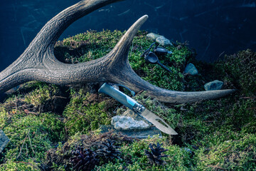 Tourist folding knife on moss. Forest and knife. Knife for tourism and travel. Outdoor knife.