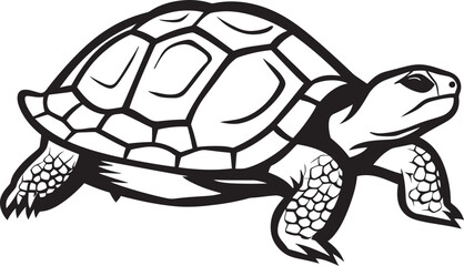 Fototapeta premium Conservation Challenges for Tortoises Protecting the World Most Endangered Species