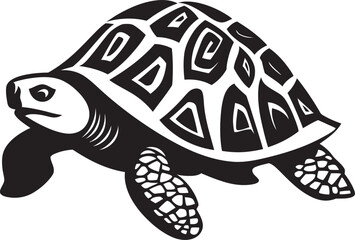 Fototapeta premium The Longevity of Tortoises Exploring the Secrets Behind Their Remarkable Lifespans