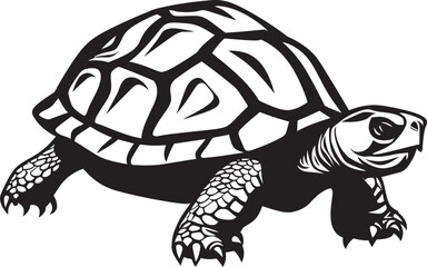 Fototapeta premium The Behavioral Ecology of Tortoises How They Interact with Their Environment