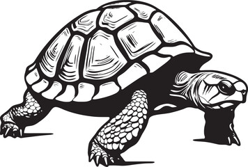 Fototapeta premium The Fascinating World of Tortoise Adaptations Survival Strategies in Different Environments