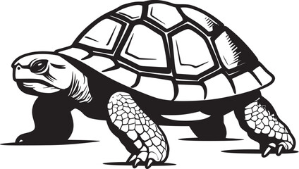 The Global Trade in Tortoises Challenges and Solutions for Conservation