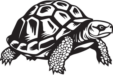 Fototapeta premium Tortoise Photography Capturing the Beauty and Grace of These Ancient Reptiles