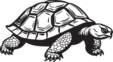 Fototapeta premium The Role of Tortoises in Cultural Narratives From Folktales to Modern Stories