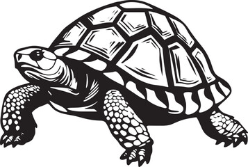 Fototapeta premium The Interconnectedness of Tortoise Species Exploring Their Relationships Within Ecosystems