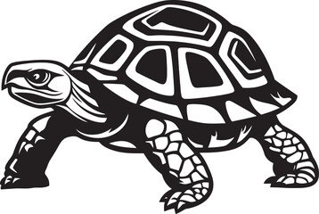 Fototapeta premium The Importance of Tortoises in Ecosystem Dynamics A Study of Their Role in Habitat Maintenance