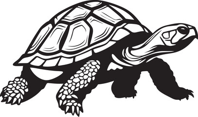 Fototapeta premium The Role of Tortoises in Soil Health How They Contribute to Nutrient Cycling in Ecosystems