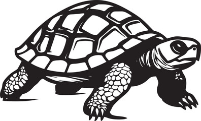 Fototapeta premium Tortoise Friendly Practices for Homeowners How to Create a Safe Environment for Wildlife
