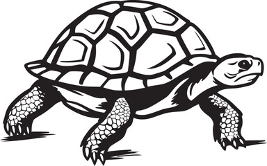 Fototapeta premium Tortoise Interactions How These Slow Moving Creatures Engage with Their Environment