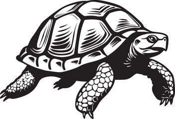 Fototapeta premium The Legacy of Tortoises Cultural Reflections on Longevity and Endurance in Nature