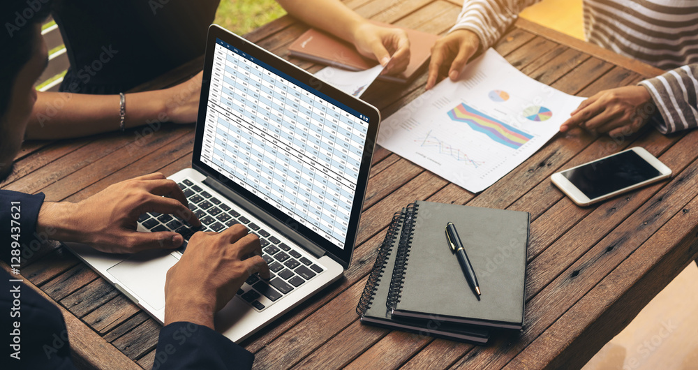 Poster accounting software on computer screen showing financial statement spreadsheets and account balance 