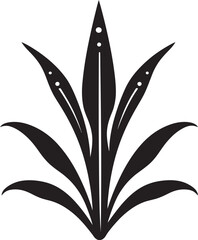 How to Cultivate Aloe Vera From Seedling to Mature Plant