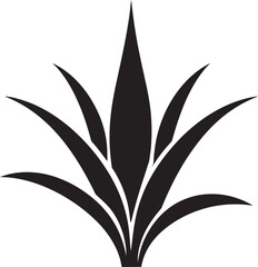 How to Make Aloe Vera a Part of Your Self Care Routine Tips and Tricks