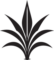 How to Create an Aloe Vera Garden Design Ideas and Planting Tips