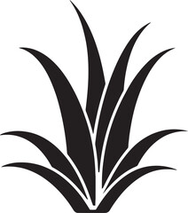 How Aloe Vera Can Help with Digestive Disorders A Natural Approach