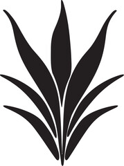 Aloe Vera and Its Effects on Blood Sugar Levels What You Need to Know