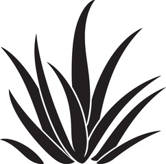 The Benefits of Aloe Vera for Memory and Cognitive Function What Research Shows