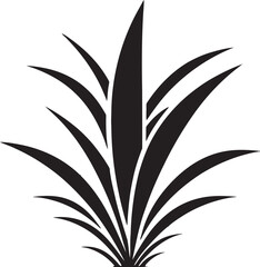 The Connection Between Aloe Vera and Digestive Enzymes Enhancing Gut Health