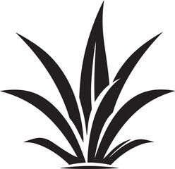 Aloe Vera for Dry Skin Natural Treatments for Relief and Hydration