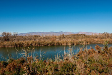 Albufera de Rambla de Morales in Cabo de Gata, Provinz Almería, Autonome Gemeinschaft Andalusien, Spanien