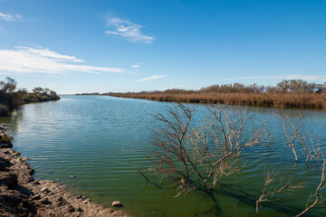 Albufera de Rambla de Morales in Cabo de Gata, Provinz Almería, Autonome Gemeinschaft Andalusien, Spanien