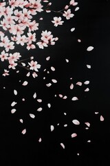 Beautiful cherry blossom flower petal in Spring.