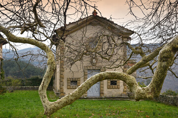 Beautiful giant plane tree in front of a small chapel in a park on the hills near Florence. Italy