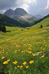 Obraz premium Scenic mountain valley with blooming yellow wildflowers and lush green meadows under cloudy sky