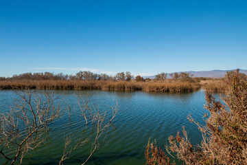 lagune, 